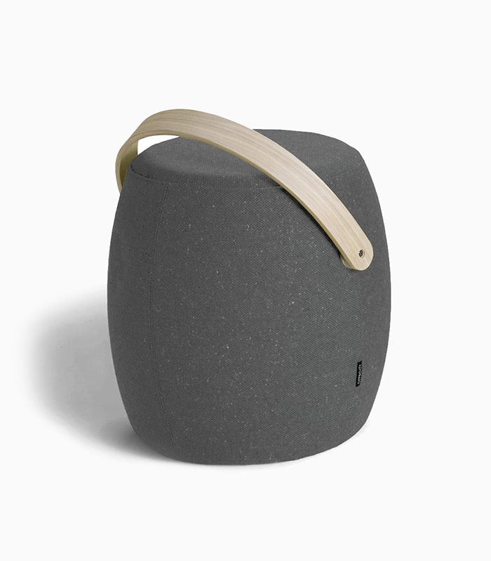 ornare auctor ornare auctor