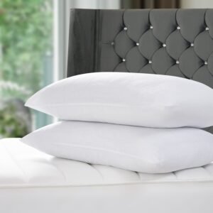 Pair Bounce Back Pillows For Bed