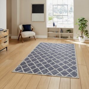 Coral H1063 Digitally Printed Rug Blue
