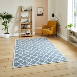 Coral H1063 Digitally Printed Rug Grey