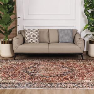 Antique Style Rug for Living Room & Bedroom